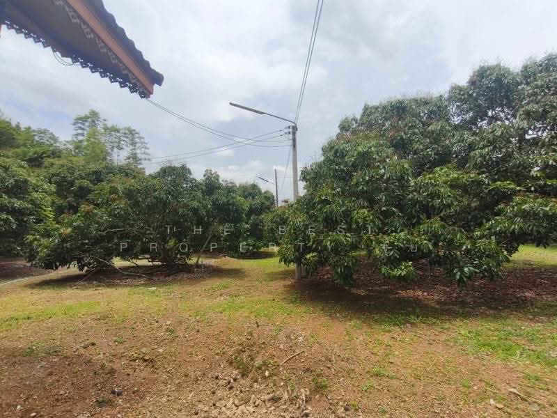 ที่ดินทรายขาว จันทบุรี, จันทบุรี, ทรายขาว, สอยดาว, จันทบุรี, 4,884 ตร.ม., ที่ดิน ขาย, โดย The Best Property จุ้ย, 500579963 - DDproperty.com