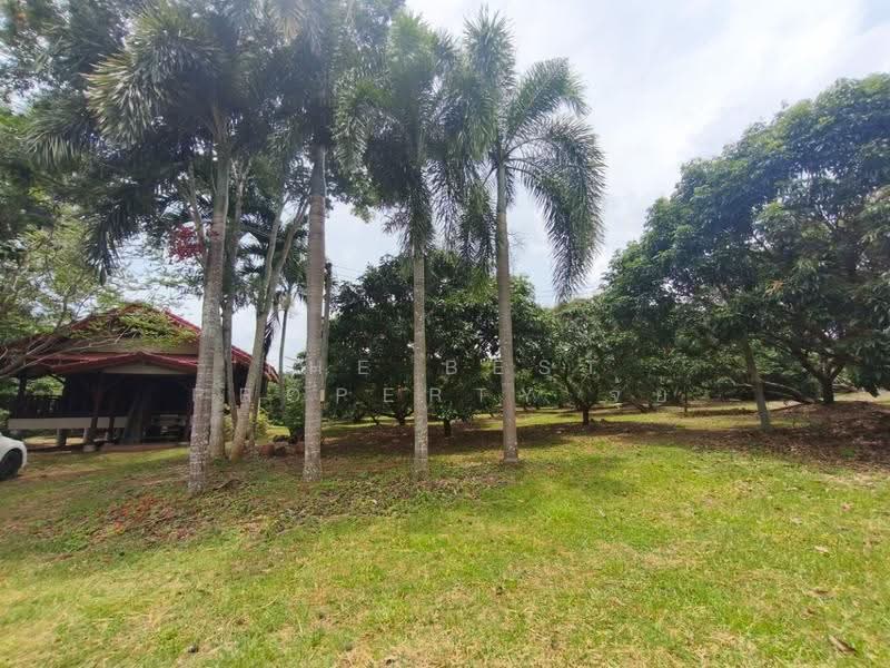 ที่ดินทรายขาว จันทบุรี, จันทบุรี, ทรายขาว, สอยดาว, จันทบุรี, 4,884 ตร.ม., ที่ดิน ขาย, โดย The Best Property จุ้ย, 500579963 - DDproperty.com