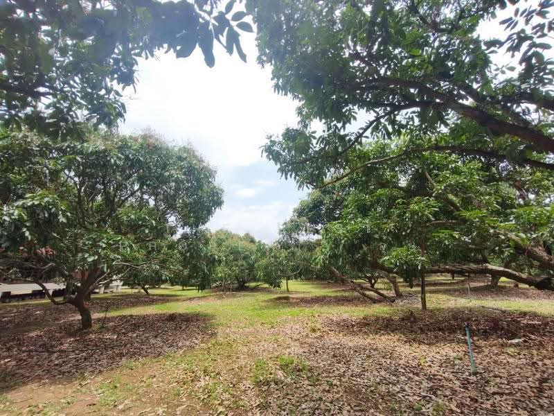 ที่ดินทรายขาว จันทบุรี, chanthaburi, Sai Khao, Soydow, Chanthaburi, , 4,884 sqm, Land For Sale, by The Best Property จุ้ย, 500579963 - DDproperty.com