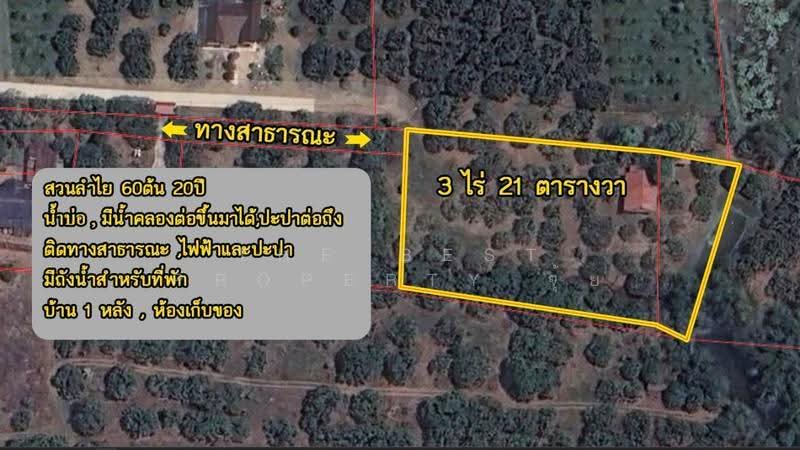 ที่ดินทรายขาว จันทบุรี, จันทบุรี, ทรายขาว, สอยดาว, จันทบุรี, 4,884 ตร.ม., ที่ดิน ขาย, โดย The Best Property จุ้ย, 500579963 - DDproperty.com