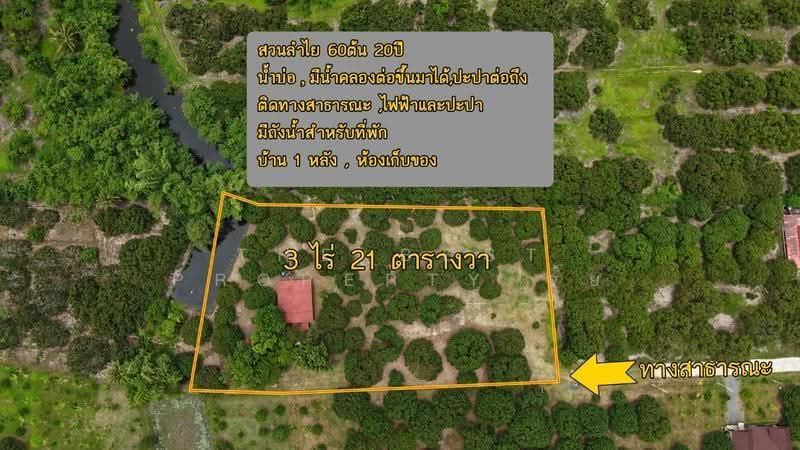 ที่ดินทรายขาว จันทบุรี, จันทบุรี, ทรายขาว, สอยดาว, จันทบุรี, 4,884 ตร.ม., ที่ดิน ขาย, โดย The Best Property จุ้ย, 500579963 - DDproperty.com