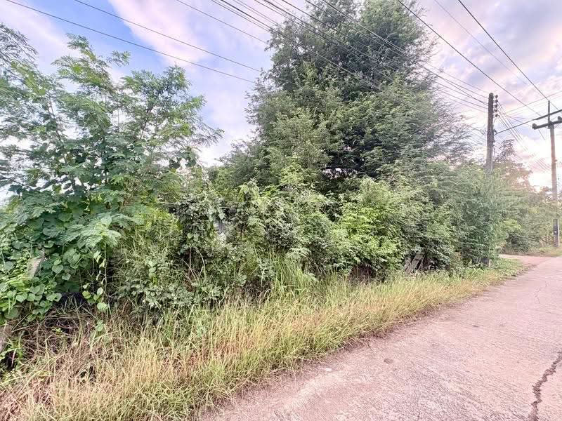 ที่ดินตาคลี นครสวรรค์, Nakhon Sawan, Takhli, Nakhon Sawan, , 400 sqm, Land For Sale, by The Best Property ต้นอ้อ, 500580010 - DDproperty.com