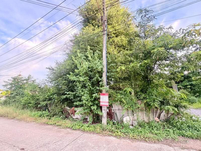 ที่ดินตาคลี นครสวรรค์, นครสวรรค์, ตาคลี, นครสวรรค์, 400 ตร.ม., ที่ดิน ขาย, โดย The Best Property ต้นอ้อ, 500580010 - DDproperty.com