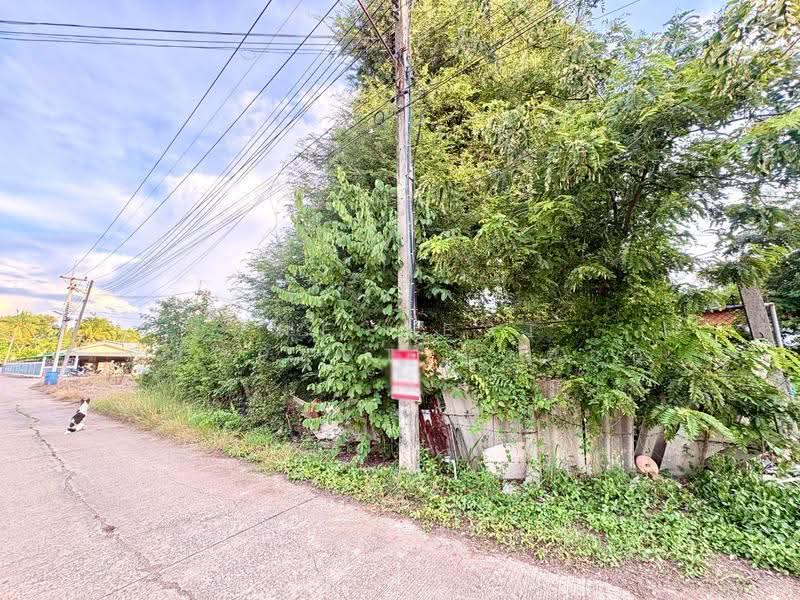 ที่ดินตาคลี นครสวรรค์, Nakhon Sawan, Takhli, Nakhon Sawan, , 400 sqm, Land For Sale, by The Best Property ต้นอ้อ, 500580010 - DDproperty.com