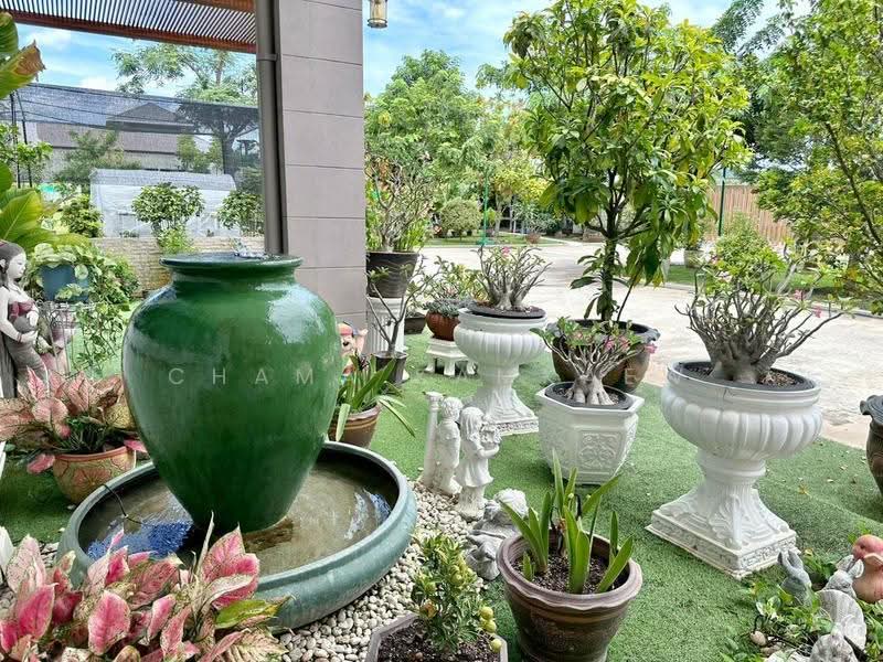 5-BR House, Prachuap Khiri Khan, Hin Lek Fai, Hua Hin, Prachuap Khiri Khan, 5 Bedrooms, 488 sqm, Single Detached House For Sale, by Chama Kamkaew, 500580032 - DDproperty.com