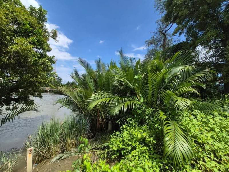 ที่ดินแม่กลอง สมุทรสงคราม, Samut Songkhram, Mae Klong, Muang Samut Songkhram, Samut Songkhram, , 256 sqm, Land For Sale, by The Best Property อิ๋ว, 500580123 - DDproperty.com