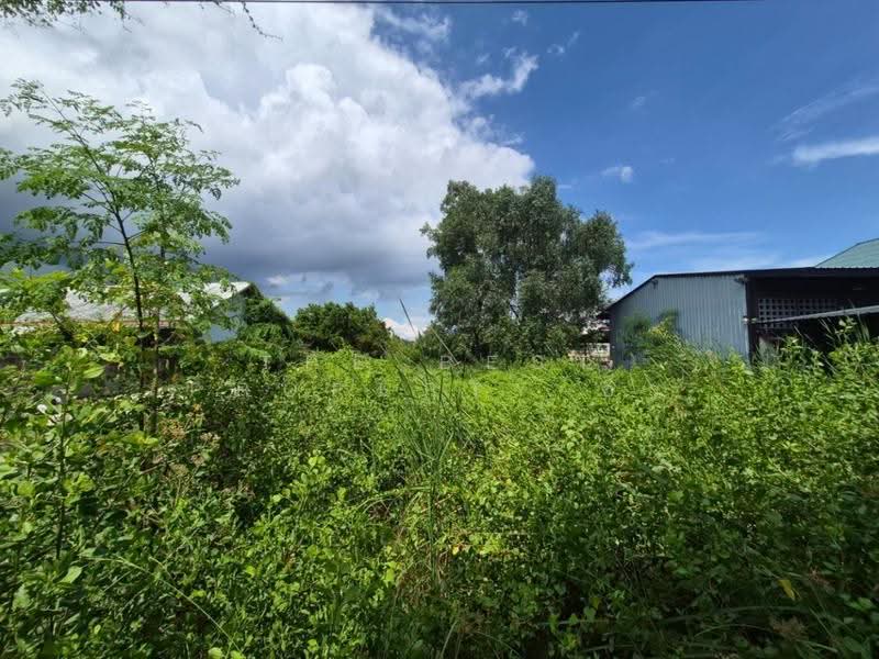 ที่ดินแม่กลอง สมุทรสงคราม, Samut Songkhram, Mae Klong, Muang Samut Songkhram, Samut Songkhram, , 256 sqm, Land For Sale, by The Best Property อิ๋ว, 500580123 - DDproperty.com