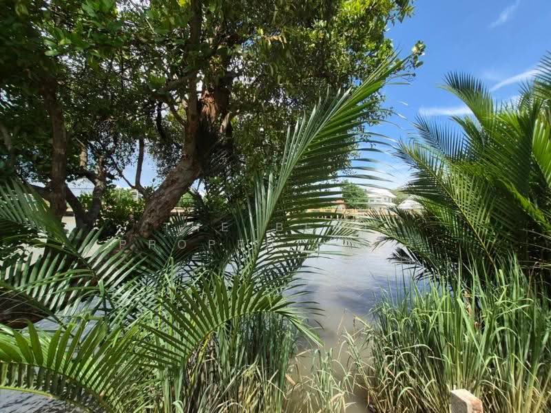 ที่ดินแม่กลอง สมุทรสงคราม, Samut Songkhram, Mae Klong, Muang Samut Songkhram, Samut Songkhram, , 256 sqm, Land For Sale, by The Best Property อิ๋ว, 500580123 - DDproperty.com