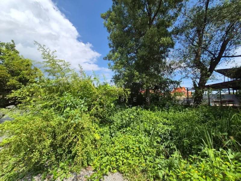 ที่ดินแม่กลอง สมุทรสงคราม, Samut Songkhram, Mae Klong, Muang Samut Songkhram, Samut Songkhram, , 256 sqm, Land For Sale, by The Best Property อิ๋ว, 500580123 - DDproperty.com