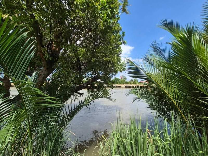 ที่ดินแม่กลอง สมุทรสงคราม, Samut Songkhram, Mae Klong, Muang Samut Songkhram, Samut Songkhram, , 256 sqm, Land For Sale, by The Best Property อิ๋ว, 500580123 - DDproperty.com