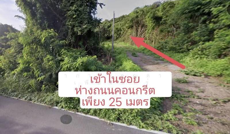 ซอยพลูตาหลวง ตำบลพลูตาหลวง อำเภอสัตหีบ จังหวัดชลบุรี, ชลบุรี, พลูตาหลวง, สัตหีบ, ชลบุรี, 408 ตร.ม., ที่ดิน ขาย, โดย ณิชาภา (คุณดาว) เพียจันทร์, 500580175 - DDproperty.com