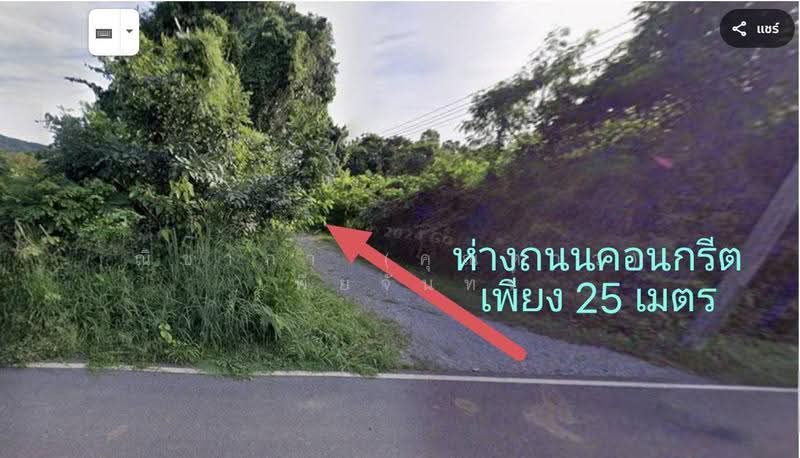 ซอยพลูตาหลวง ตำบลพลูตาหลวง อำเภอสัตหีบ จังหวัดชลบุรี, ชลบุรี, พลูตาหลวง, สัตหีบ, ชลบุรี, 408 ตร.ม., ที่ดิน ขาย, โดย ณิชาภา (คุณดาว) เพียจันทร์, 500580175 - DDproperty.com