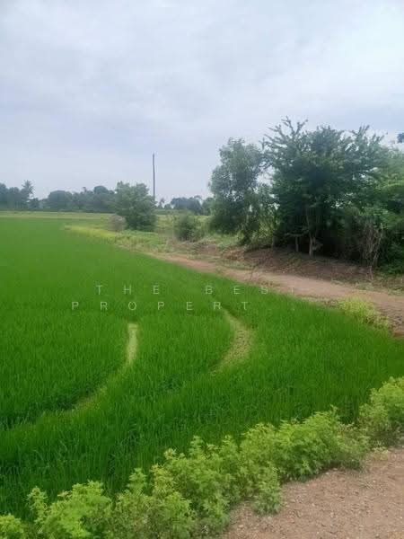 ที่ดินราษฎร์นิยม นนทบุรี, Nonthaburi, Rat Niyom, Sai Noi, Nonthaburi, , 1,600 sqm, Land For Sale, by The Best Property สิตา, 500580185 - DDproperty.com