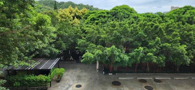 Sea Hill Condo Sriracha, Chon Buri (Pattaya), 456 Moo 10, Sukhumvit Road, Bang Phra, Si Racha, Chon Buri (Pattaya), 2 Bedrooms, 64 sqm, Condo For Rent, by Sirisongkran Kasemkun, 500580310 - DDproperty.com