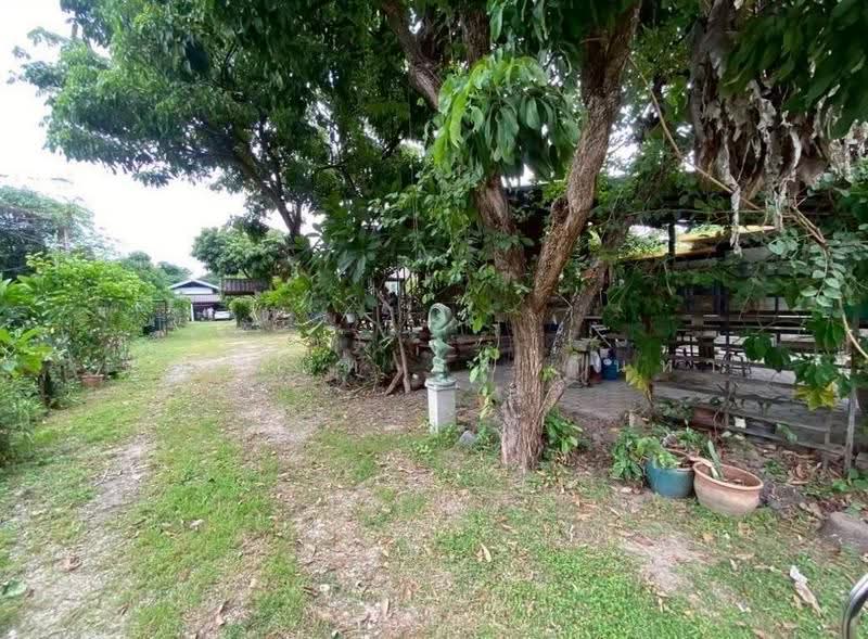 ขายที่ดินพร้อมบ้านสวน บนทำเลเจ็ดยอด ใกล้เมืองเชียงใหม่, เชียงใหม่, ช้างเผือก, เมืองเชียงใหม่, เชียงใหม่, 1,640 ตร.ม., ที่ดิน ขาย, โดย จีระนันท์ หล้ากันหา, 500580317 - DDproperty.com