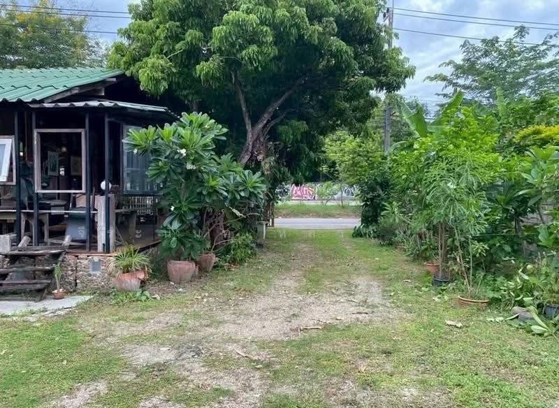 ขายที่ดินพร้อมบ้านสวน บนทำเลเจ็ดยอด ใกล้เมืองเชียงใหม่, เชียงใหม่, ช้างเผือก, เมืองเชียงใหม่, เชียงใหม่, 1,640 ตร.ม., ที่ดิน ขาย, โดย จีระนันท์ หล้ากันหา, 500580317 - DDproperty.com