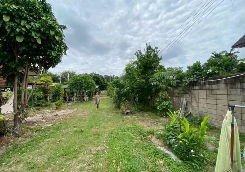 ขายที่ดินพร้อมบ้านสวน บนทำเลเจ็ดยอด ใกล้เมืองเชียงใหม่, เชียงใหม่, ช้างเผือก, เมืองเชียงใหม่, เชียงใหม่, 1,640 ตร.ม., ที่ดิน ขาย, โดย จีระนันท์ หล้ากันหา, 500580317 - DDproperty.com