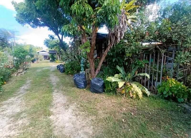 For Sale: Land & Garden-Style Houses in Jed Yod, Near Chiang Mai City, Chiang Mai, Chang Phuak, Muang Chiang Mai, Chiang Mai, , 1,640 sqm, Land For Sale, by จีระนันท์ หล้ากันหา, 500580317 - DDproperty.com