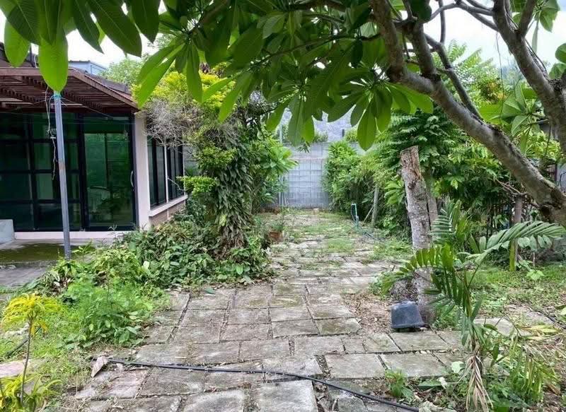 ขายที่ดินพร้อมบ้านสวน บนทำเลเจ็ดยอด ใกล้เมืองเชียงใหม่, เชียงใหม่, ช้างเผือก, เมืองเชียงใหม่, เชียงใหม่, 1,640 ตร.ม., ที่ดิน ขาย, โดย จีระนันท์ หล้ากันหา, 500580317 - DDproperty.com