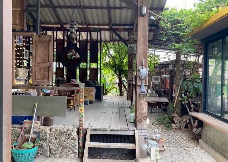 For Sale: Land & Garden-Style Houses in Jed Yod, Near Chiang Mai City, Chiang Mai, Chang Phuak, Muang Chiang Mai, Chiang Mai, , 1,640 sqm, Land For Sale, by จีระนันท์ หล้ากันหา, 500580317 - DDproperty.com