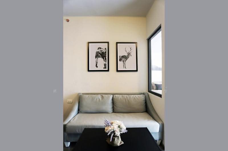 IDEO Sukhumvit 93, Bangkok, 2331 Soi Sukhumvit 93, Bang Chak, Phra Khanong, Bangkok, 1 Bedroom, 34 sqm, Condo For Rent, by ปัณณภัสร์ ศรีพัชรพัชร์, 500580324 - DDproperty.com