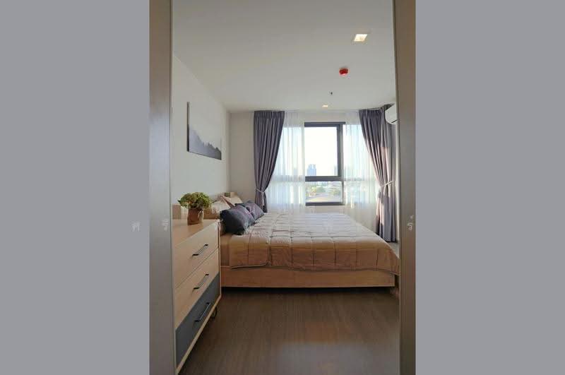 IDEO Sukhumvit 93, Bangkok, 2331 Soi Sukhumvit 93, Bang Chak, Phra Khanong, Bangkok, 1 Bedroom, 34 sqm, Condo For Rent, by ปัณณภัสร์ ศรีพัชรพัชร์, 500580324 - DDproperty.com
