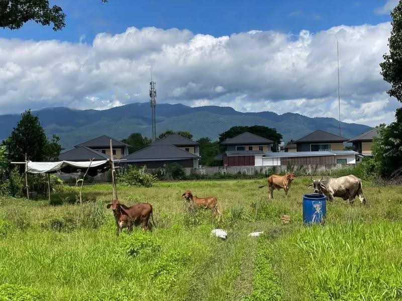 Land for Sale: 60 Rai Prime Development Land on Chiang Mai's 3rd Ring Road, Chiang Mai, San Phi Sua, Muang Chiang Mai, Chiang Mai, , 96,000 sqm, Land For Sale, by จีระนันท์ หล้ากันหา, 500580406 - DDproperty.com