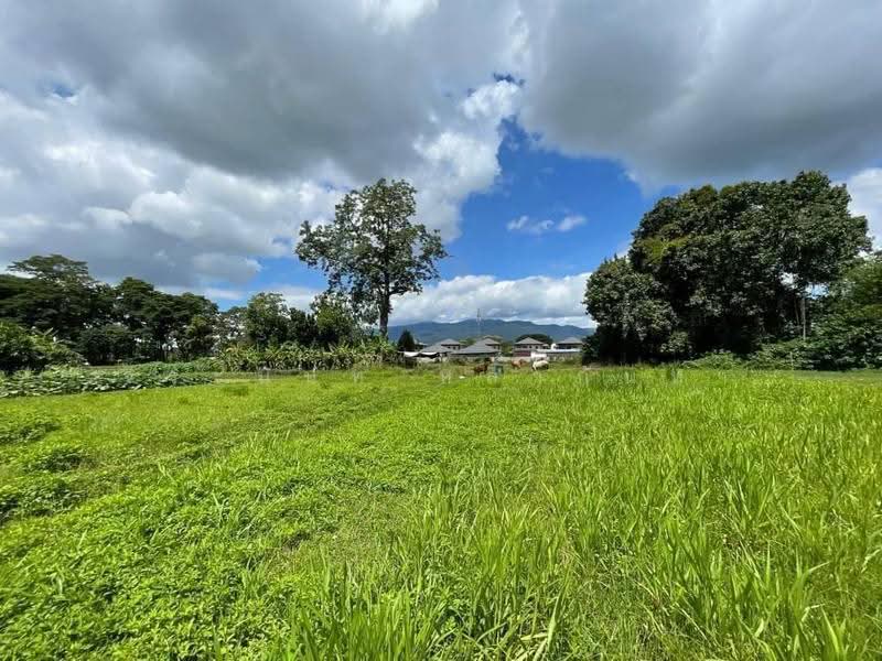 ขายที่ดิน 60 ไร่ ทำเลศักยภาพ วงแหวนรอบสาม เชียงใหม่, เชียงใหม่, สันผีเสื้อ, เมืองเชียงใหม่, เชียงใหม่, 96,000 ตร.ม., ที่ดิน ขาย, โดย จีระนันท์ หล้ากันหา, 500580406 - DDproperty.com