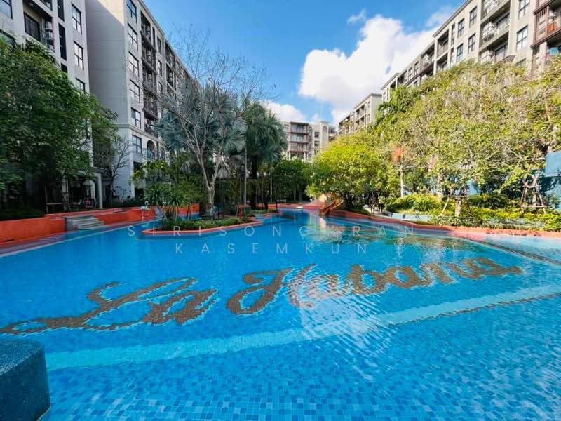 La Habana Hua Hin, prachuap-khiri-khan, Soi Hua Hin 23, Nong Kae, Hua Hin, Prachuap Khiri Khan, 1 Bedroom, 26 sqm, Condo For Rent, by Sirisongkran Kasemkun, 500580519 - DDproperty.com