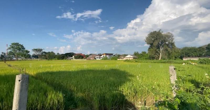 ขายที่ดิน 12 ไร่กว่า ผังเมืองสีแดง ทำสันทราย เชียงใหม่, เชียงใหม่, สันทรายหลวง, สันทราย, เชียงใหม่, 20,680 ตร.ม., ที่ดิน ขาย, โดย จีระนันท์ หล้ากันหา, 500580521 - DDproperty.com