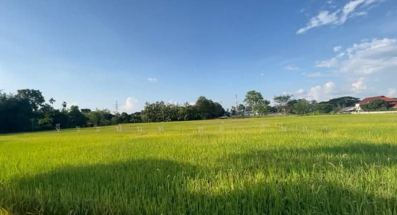 For Sale:Land for sale 12+Rai Red Zone Development Land in San Sai,Chiang Mai, Chiang Mai, San Sai Luang, San Sai, Chiang Mai, , 20,680 sqm, Land For Sale, by จีระนันท์ หล้ากันหา, 500580521 - DDproperty.com