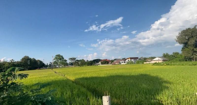 For Sale:Land for sale 12+Rai Red Zone Development Land in San Sai,Chiang Mai, Chiang Mai, San Sai Luang, San Sai, Chiang Mai, , 20,680 sqm, Land For Sale, by จีระนันท์ หล้ากันหา, 500580521 - DDproperty.com