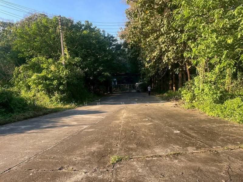 Land For Sale: 2-Rai Ping River front Property in Don Kaew, Chiang Mai, Don Kaeo, Mae Rim, Chiang Mai, , 3,234 sqm, Land For Sale, by จีระนันท์ หล้ากันหา, 500580607 - DDproperty.com