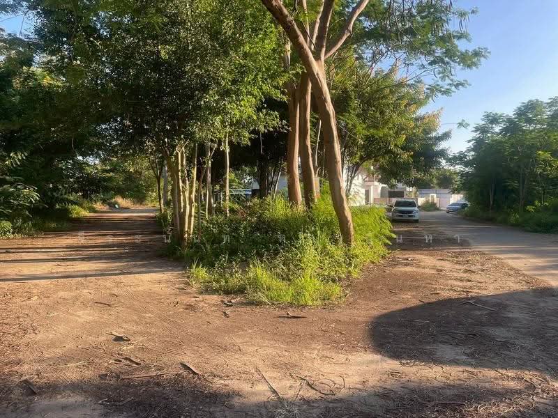 Land For Sale: 2-Rai Ping River front Property in Don Kaew, Chiang Mai, Don Kaeo, Mae Rim, Chiang Mai, , 3,234 sqm, Land For Sale, by จีระนันท์ หล้ากันหา, 500580607 - DDproperty.com