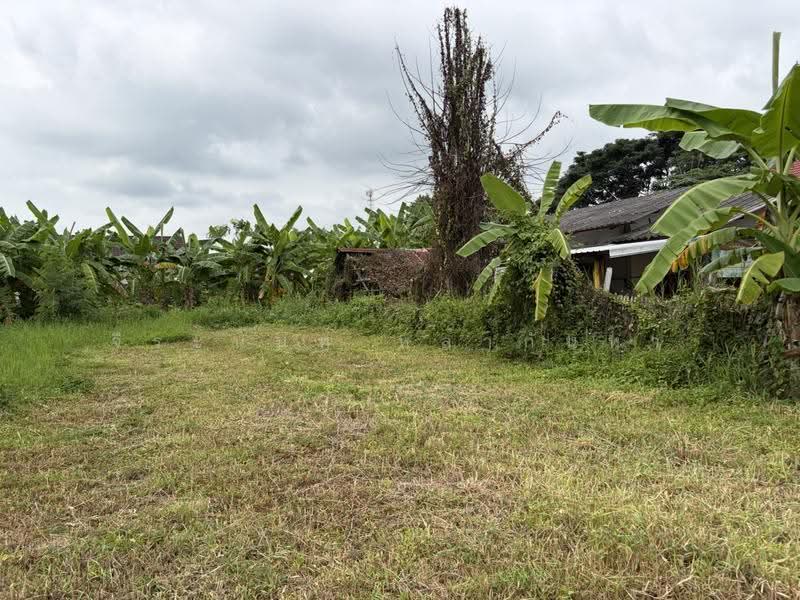 Land For Sale: 2 Corner Plots in San Sai, Chiang Mai, San Sai Luang, San Sai, Chiang Mai, , 540 sqm, Land For Sale, by จีระนันท์ หล้ากันหา, 500580661 - DDproperty.com