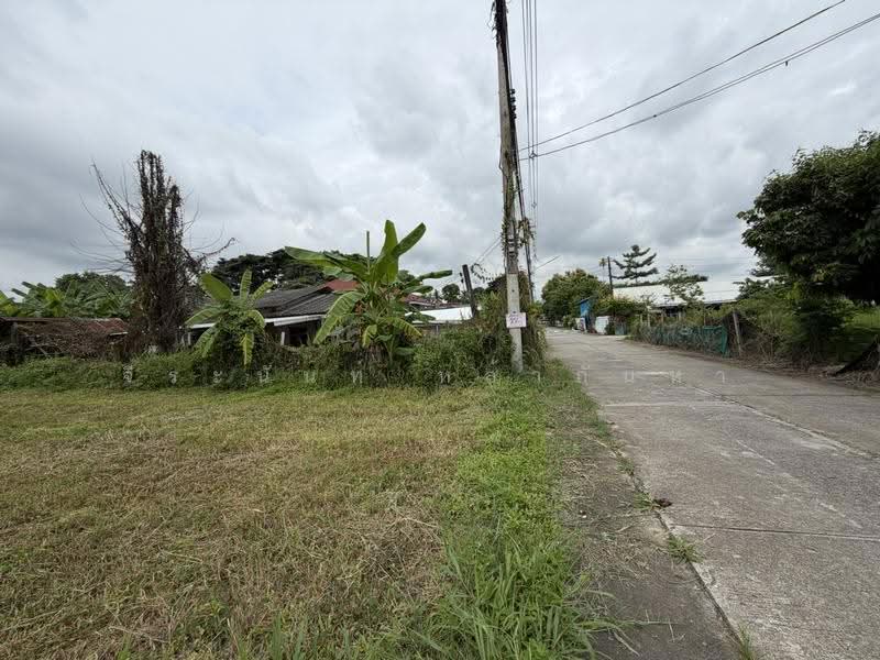 Land For Sale: 2 Corner Plots in San Sai, Chiang Mai, San Sai Luang, San Sai, Chiang Mai, , 540 sqm, Land For Sale, by จีระนันท์ หล้ากันหา, 500580661 - DDproperty.com
