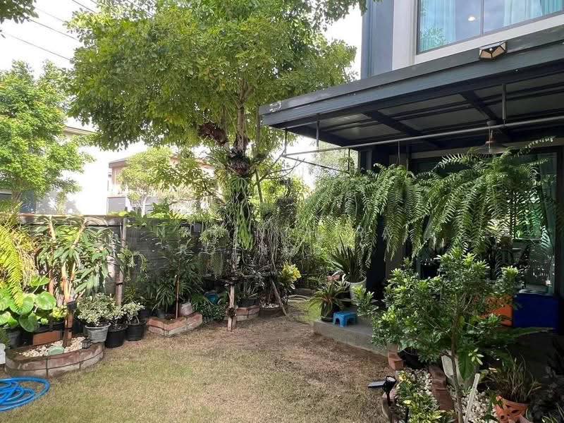 Burasiri Rama 2, Bangkok, 96 Liab Kanchanaphisek Road, Samae Dam, Bang Khun Thian, Bangkok, 4 Bedrooms, 167 sqm, Single Detached House For Rent, by Narinthira Roengrit, 500580712 - DDproperty.com