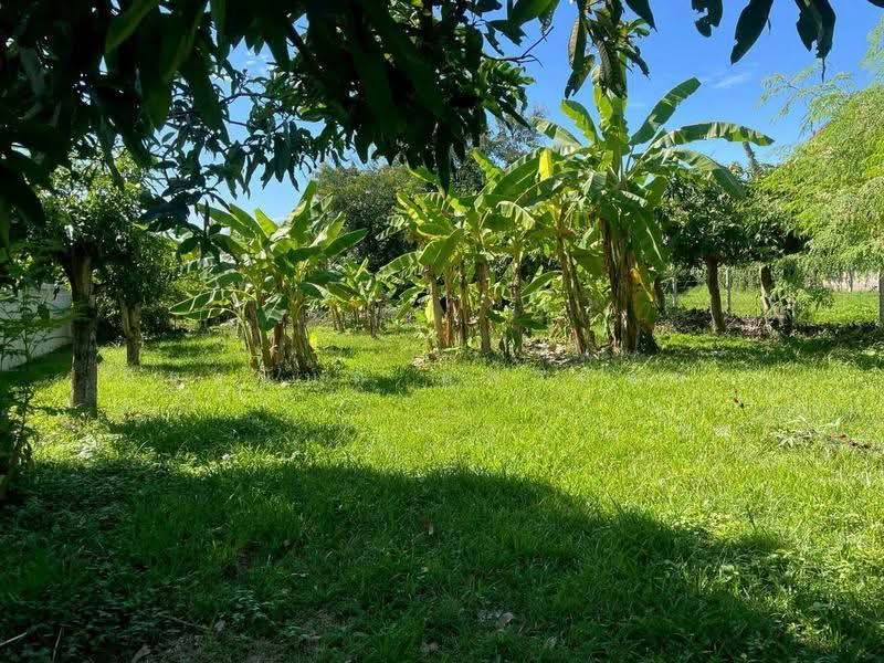 Land For Sale:Corner Plot in World Club Land, Chiang Mai, Chiang Mai, Nong Kwai, Hang Dong, Chiang Mai, , 700 sqm, Land For Sale, by จีระนันท์ หล้ากันหา, 500580716 - DDproperty.com