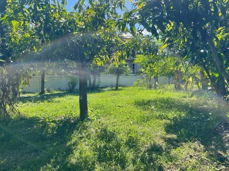 Land For Sale:Corner Plot in World Club Land, Chiang Mai, Chiang Mai, Nong Kwai, Hang Dong, Chiang Mai, , 700 sqm, Land For Sale, by จีระนันท์ หล้ากันหา, 500580716 - DDproperty.com