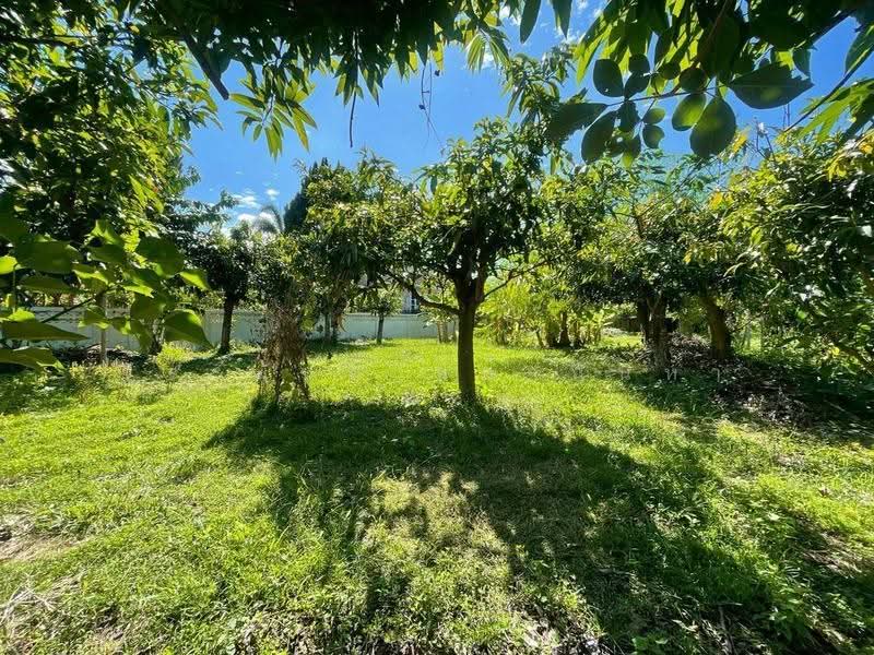 Land For Sale:Corner Plot in World Club Land, Chiang Mai, Chiang Mai, Nong Kwai, Hang Dong, Chiang Mai, , 700 sqm, Land For Sale, by จีระนันท์ หล้ากันหา, 500580716 - DDproperty.com