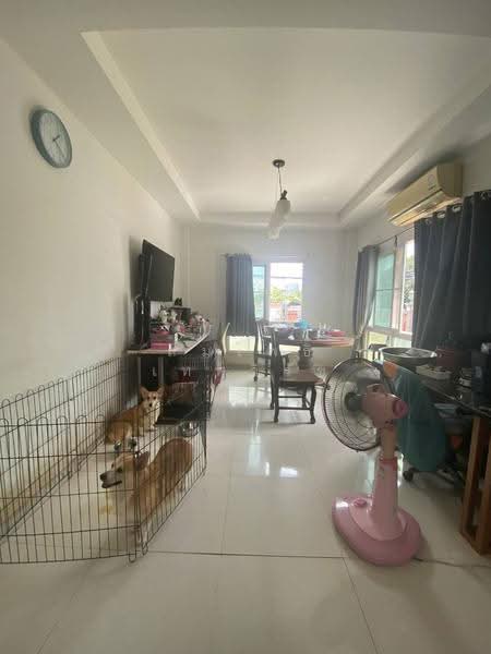 บ้านเดี่ยว เพชรเกษม28, Bangkok, Ku Ha Sawan, Phasi Charoen, Bangkok, 5 Bedrooms, 228 sqm, Single Detached House For Sale, by สมโพธิ เทศวิรัช, 500580819 - DDproperty.com