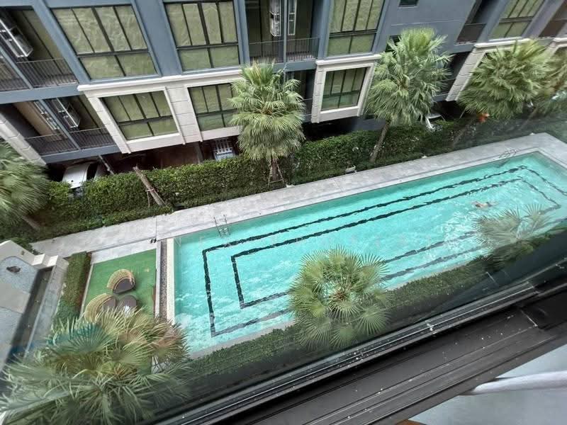 Cerocco Bangna 36, Bangkok, Bang Na-Trat 36 Alley, Bang Na, Bangkok, 1 Bedroom, 25 sqm, Condo For Rent, by Connex Property, 500580864 - DDproperty.com