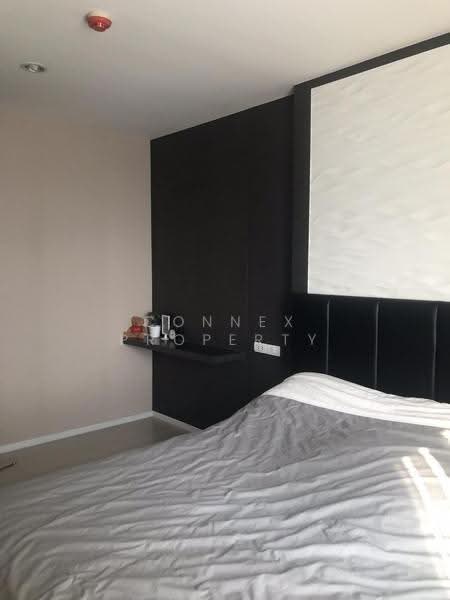 Aspire Sukhumvit 48, Bangkok, Sukhumvit Road, Phra Kanong, Khlong Toei, Bangkok, 2 Bedrooms, 54 sqm, Condo For Rent, by Connex Property, 500580954 - DDproperty.com