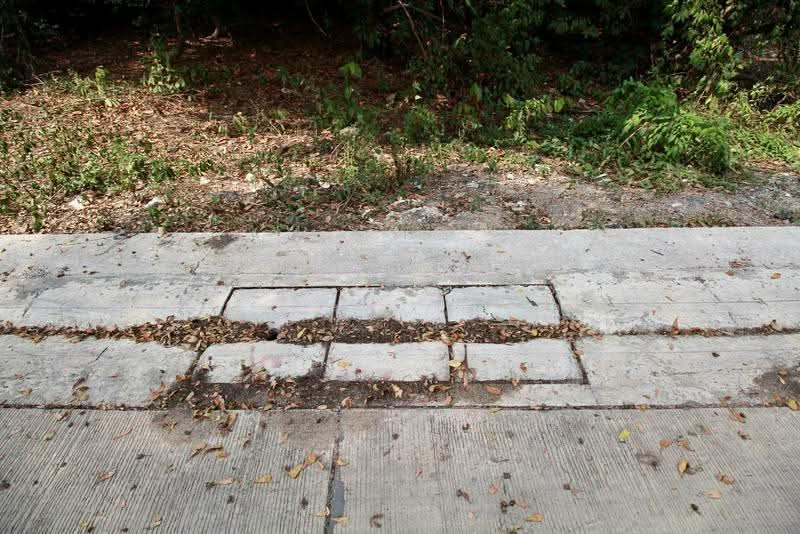 ลดแรง!ที่ดินใกล้แยกมาบข่า 700 เมตร 355 ตร.วา ขายเพียง 6,000 บาท/ตร.วา มาบข่า ระยอง, ระยอง, มาบข่า, นิคมพัฒนา, ระยอง, 1,420 ตร.ม., ที่ดิน ขาย, โดย สุเทพ พสุวณิชย์กุล, 500581085 - DDproperty.com