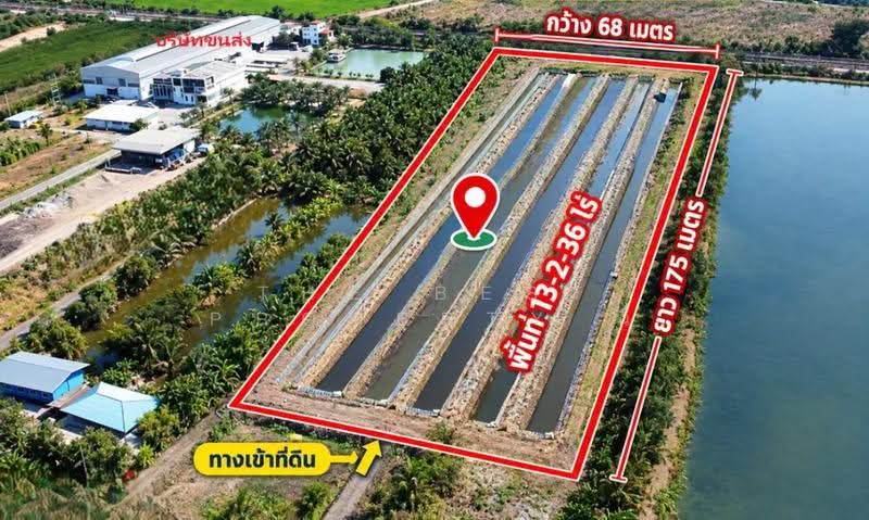 ที่ดินลาดกระบัง กรุงเทพมหานคร, Bangkok, Thab Yao, Lat Krabang, Bangkok, , 21,744 sqm, Land For Sale, by The Best Property นิ, 500581210 - DDproperty.com