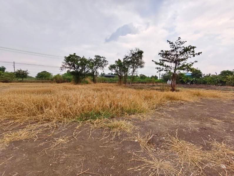 ที่ดินลาดกระบัง กรุงเทพมหานคร, Bangkok, Thab Yao, Lat Krabang, Bangkok, , 21,744 sqm, Land For Sale, by The Best Property นิ, 500581210 - DDproperty.com