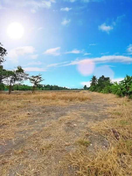 ที่ดินลาดกระบัง กรุงเทพมหานคร, Bangkok, Thab Yao, Lat Krabang, Bangkok, , 21,744 sqm, Land For Sale, by The Best Property นิ, 500581210 - DDproperty.com