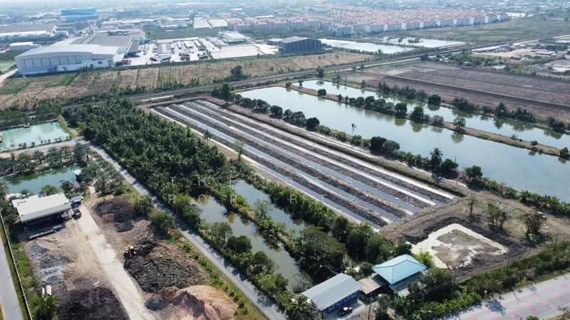 ที่ดินลาดกระบัง กรุงเทพมหานคร, Bangkok, Thab Yao, Lat Krabang, Bangkok, , 21,744 sqm, Land For Sale, by The Best Property นิ, 500581210 - DDproperty.com