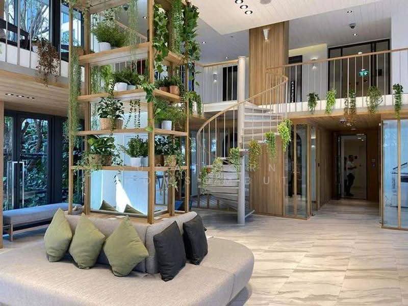 Chambers On-Nut Station, Bangkok, Soi Sukhumvit 81, Sukhumvit Road, Phra Kanong Nua, Watthana, Bangkok, 1 Bedroom, 27 sqm, Condo For Rent, by Supatsorn Promsombut, 500581326 - DDproperty.com