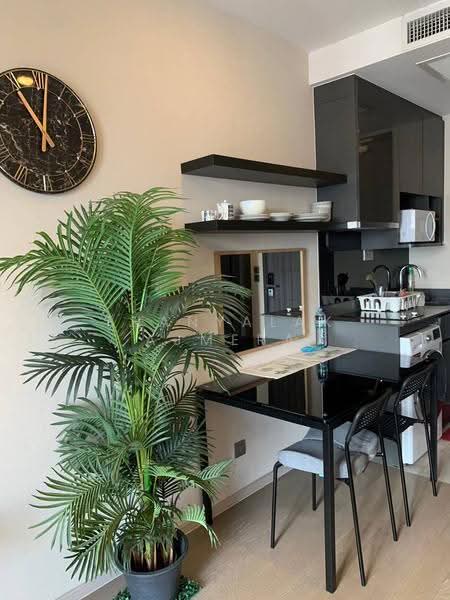 ASHTON Asoke, bangkok, 131 Asoke Montri Road, Khlongtoei Nua, Watthana, Bangkok, 1 Bedroom, 37 sqm, Condo For Rent, by Thanyalak Ajmera, 500581402 - DDproperty.com